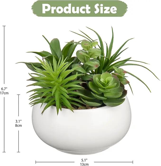Fake Plants Artificial Succulents in Pots Faux Succulent Arrangement Potted Plant in White Ceramic Planter Bowl for Home Decor Office Desk Bathroom Shelf Living Room Indoor Decorations by GreenHaven Gardens