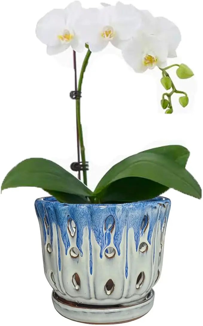 Ceramic Orchid Pot with Drainage Hole 6'' Orchid Planter (Blue Cover White) by GreenHaven Gardens