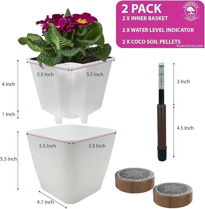 GARDENIX DECOR 5" Self Watering pots for Indoor Plants - Flower Pot with Water Level Indicator for Plants, Grow Tracking Tool - Self Watering Planter Plant Pot – 2 Pack White by GreenHaven Gardens