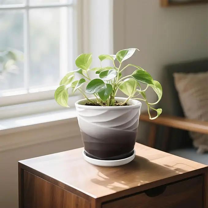 8 Inch Indoor Plant Pot with Drainage Holes and Saucers, Ceramic Planter for Plants, Succulent Orchid Flower Pots(Dark Gray+White) by GreenHaven Gardens