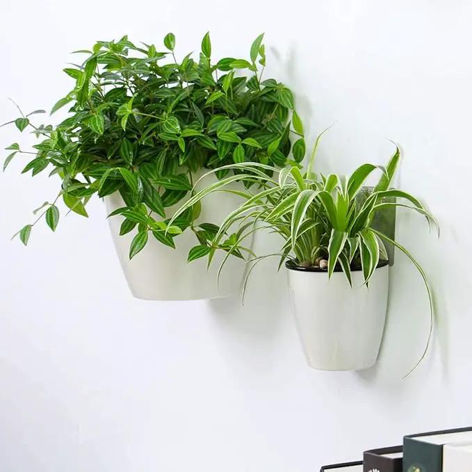 6 Packs 5" Plastic Self Watering Pots Wall Hanging Planters Wall Mounted Wicking Flower Pots for Indoor and Outdoor African Violet, Ocean Spider Plant, Orchid, White by GreenHaven Gardens