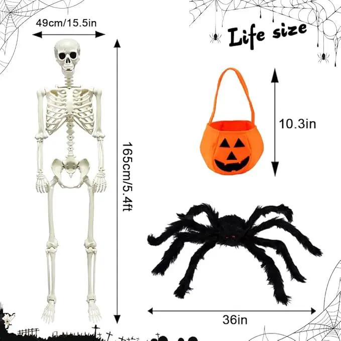 DINESIL 5.4ft/165cm Halloween Skeleton, Halloween Life Size Skeleton with Spider Pumpkin Bag, Full Body Human Bones with Movable Joints for Halloween Indoor Outdoor Haunted House Decorations by GreenHaven Gardens