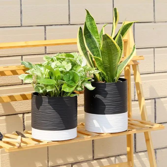 Nihow Ceramic Plant Pot: 6 Inch Planter with Drainage Hole & Saucer for Indoor & Outdoor Plants - Cylinder Round Flower Pot for Succulent/Herbs/Violets - Black & White by GreenHaven Gardens