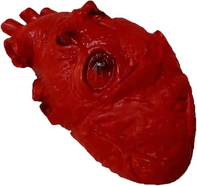 Life Size Foam Heart Gory Halloween Prop by GreenHaven Gardens