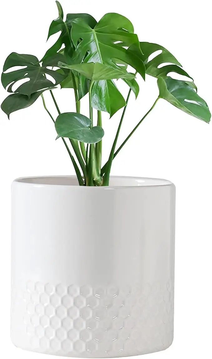 Docrin Ceramic Planters Indoor: 8 Inch Plant Pots with Drainage Holes for Home/Office - White Honeycomb by GreenHaven Gardens