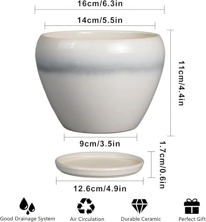 Planter Pot 6 Inch - Ceramic Plant Pot with Drainage Hole and Saucer, Round Glaze Succulent Pot for Plants, White by GreenHaven Gardens