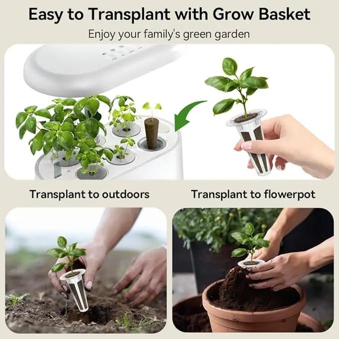 inbloom Fragrant Bouquet Seed Pod Kit for AeroGarden, iDoo, Ahopegarden, GARDENCUBE, 12 Pods (350+ Flower Seeds with Sunflower, Petunia, Mexican Marigold, Cockscomb, French Marigold, Dahlia) by GreenHaven Gardens