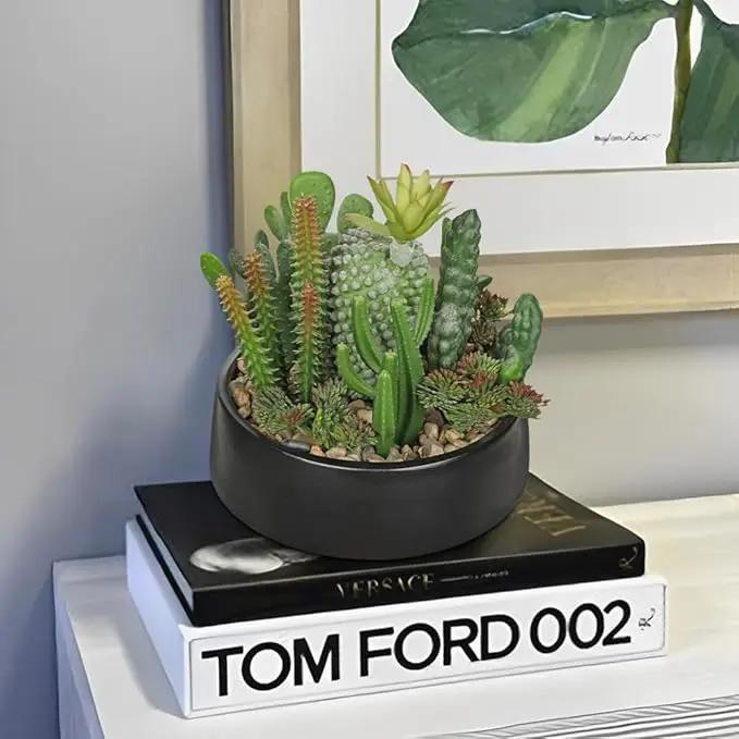 DILATATA Artificial Cactus Plants in Pot 5.5 Inch Fake Succulents Arrangement Potted Plant in Black Ceramic Planter Bowl for Home Office Desk Shelf Living Room Bedroom Bathroom Decor by GreenHaven Gardens