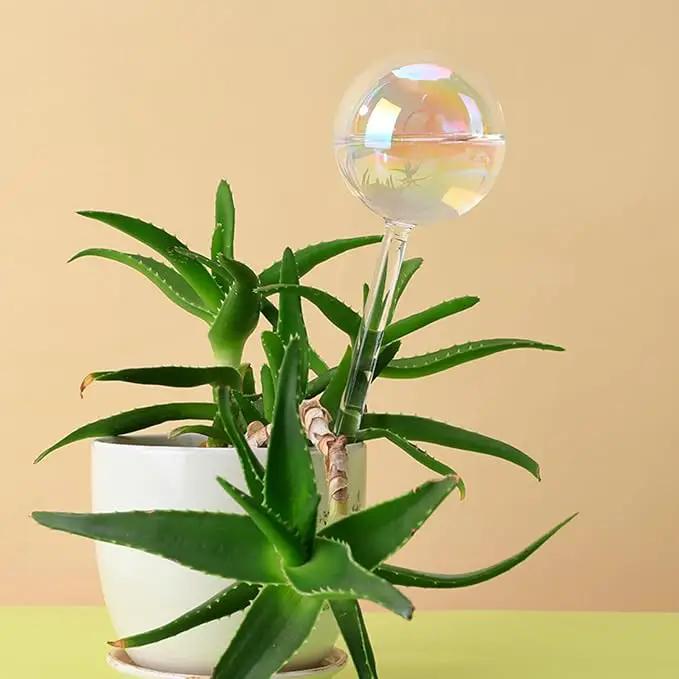 Plant Watering Globes, 6PCS Iridescent Rainbow Gradient Color Clear Glass Bulbs Self Watering Spikes Planter Insert, Automatic Plant Waterer Bulbs Devices for Various Plants by GreenHaven Gardens