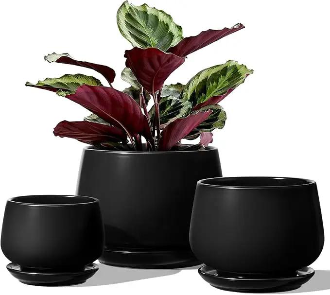 LE TAUCI Plant Pots, 4.1+5.1+6.5 inch, Set of 3, Ceramic Planters with Drainage Hole and Saucer, Indoor Flower Pot with Hole Mesh Pad, Gifts for Mom, Black by GreenHaven Gardens