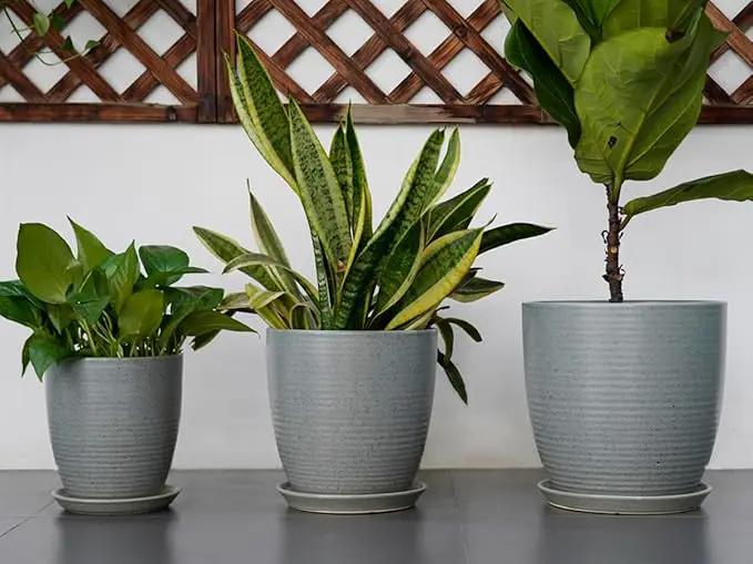 10 Inch Plant Pot, Ceramic Planters for Indoor Plants with Drainage and Saucer, Large Flower Pot for Home and Garden Decor, Light Gray by GreenHaven Gardens