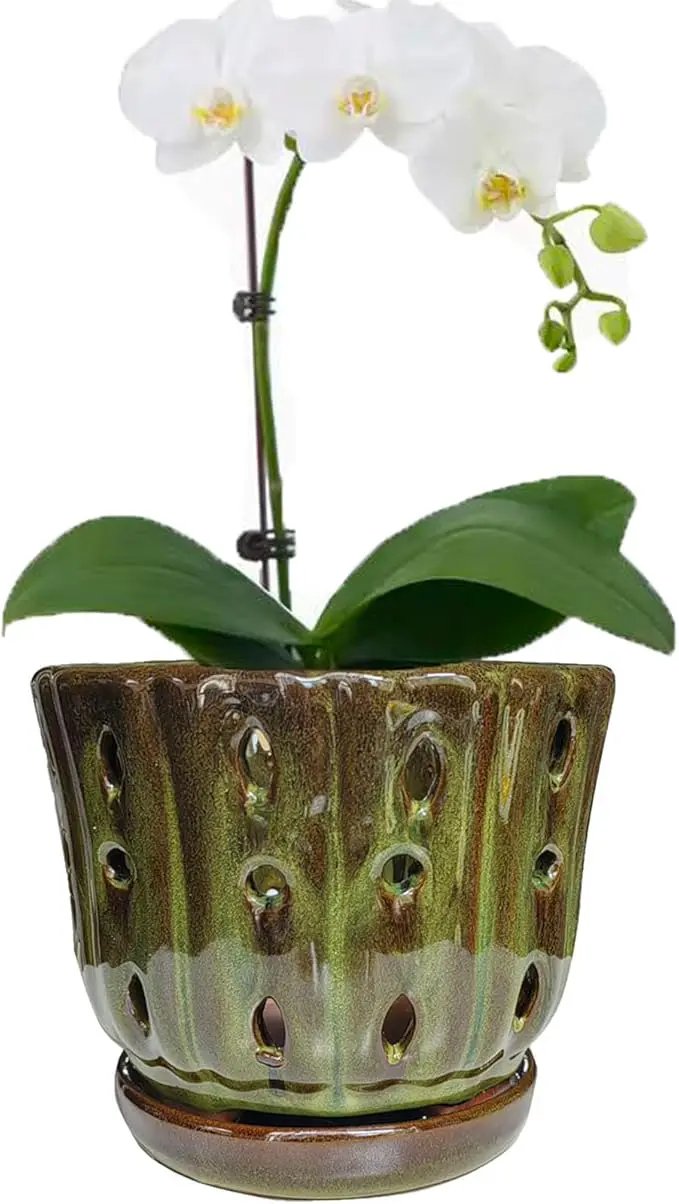 Ceramic Orchid Pots with Attached Saucer and Drainage Hole 6'' Orchid Planter (mossgreen) by GreenHaven Gardens