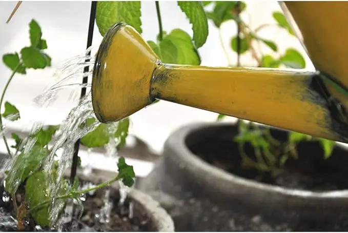 Decorative Sunflower & Ladybug Metal Watering Can (Vol: 4 Cups) | Small Yellow Watering Can | Garden Décor Housewarming Gift for Mother Women Friends Gardeners by GreenHaven Gardens