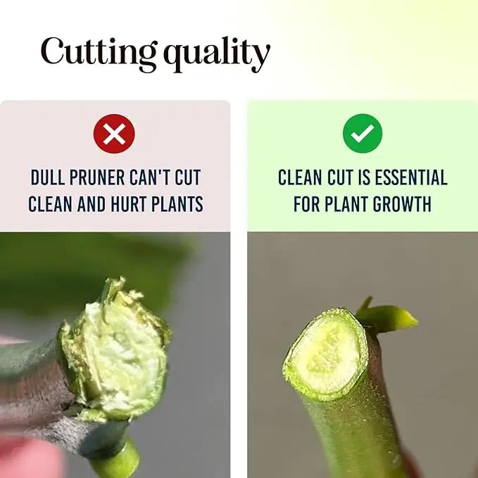 Ultra Sharp Pruning Shears Hedge Clipper – Cuts 3X Easier, Dual-Size Opening, Weak Hand Arthritis Clippers, Rust-Resistant Pruner, Effortlessly Cuts by GreenHaven Gardens