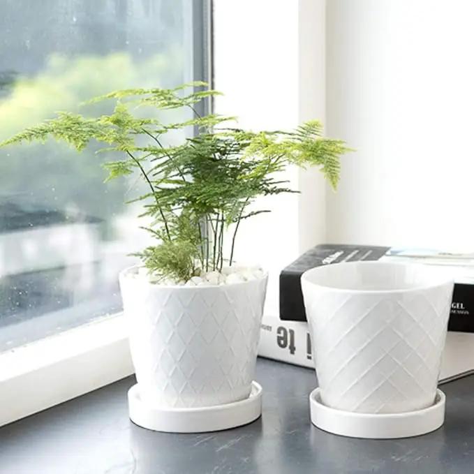Plant Pots Indoor –5 inch Ceramic Flower Pot with Drainage Hole and Ceramic Tray - Gardening Home Desktop Office Windowsill Decoration Gift, Set of 4 - Plants NOT Included (White) by GreenHaven Gardens