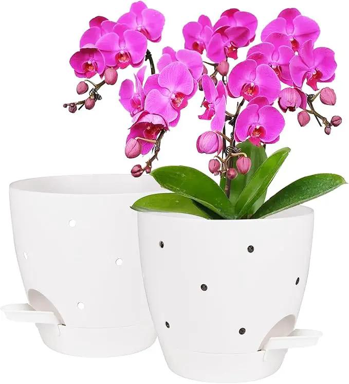 6 Inch Orchid Pots with Holes, 2 Pack Self Watering Planters for Orchids Plastic Orchid Pot Plant Flower Pots for Orchids Indoor Outdoor (White) by GreenHaven Gardens