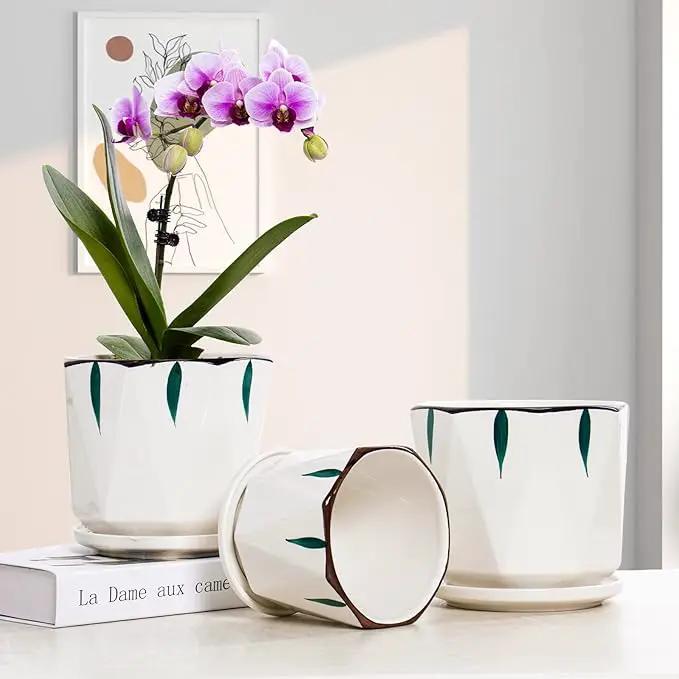 7 5 4 inch Plant Pots for Indoor, Hand Painting Ceramic Flower Planter Outdoor Set of 3 with Drainage and Saucer, Succulent Pots for Mom Family by GreenHaven Gardens