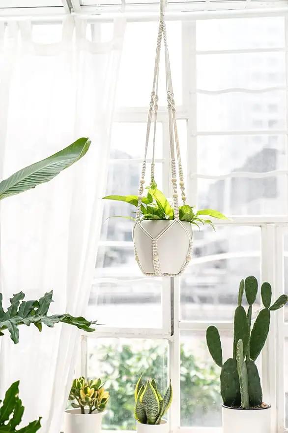 Mkono 43 Inch Macrame Plant Hanger Large for up to 12 Inch Pot Extra Long Hanging Plant Holder No Tassels Hanging Planter Basket with Wood Beads for Indoor Outdoor Boho Home Decor, Ivory, Set of 2 by GreenHaven Gardens