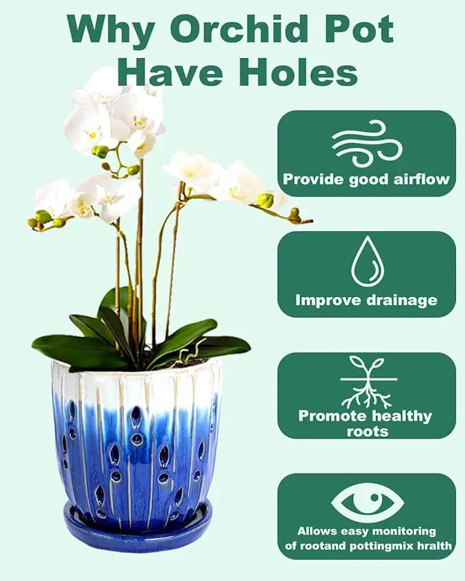 vensovo 6 Inch Ceramic Orchid Pot - Orchid Pot with Holes for Repotting, Ceramic Planter with Saucer for Indoor/Outdoor Plants, Blue by GreenHaven Gardens