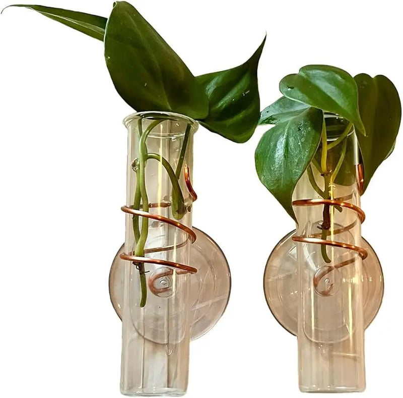 The Little Window Propagator | Window Propagation Station with Removable Glass Tubes, Indoor Plant Clippings, Cut Flowers, Herbs, Succulents | Home Decor | Plant Lover Gift (2) by GreenHaven Gardens