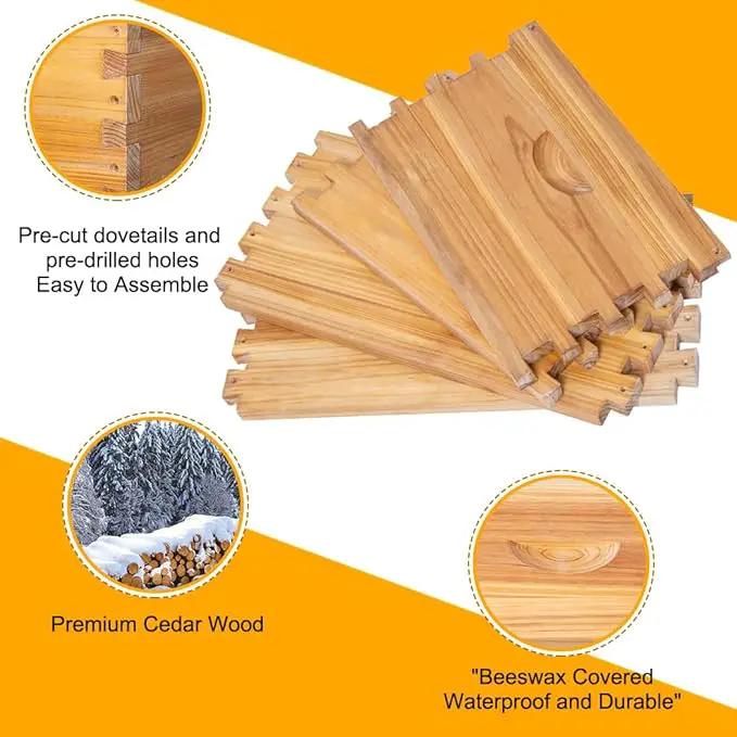 POLLIBEE 10 Frame Bee Hive,Beeswax Coated Beehive Kit for Bee Keeper,Complete Beehive Include 1 Deep Brood Bee Box and 1 Medium Bee Hive Box with Frame and Foundation by GreenHaven Gardens