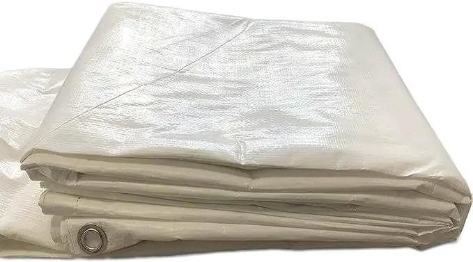 10' x 20' Economy Sidewall Kit for Canopy Tent, Complete Set of (2) White 10' and (2) 20' Side Walls for 7' Foot Height Party Frame and Outdoor Pole Tents, Tent Not Included by GreenHaven Gardens