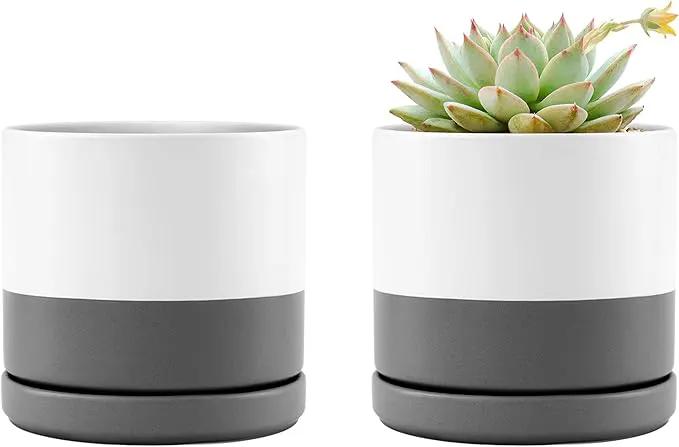 D'vine Dev Set of 2 Plants Pots, 4.6 Inch Ceramic Planter Pot for Plants with Drainage Hole and Saucer, White/Speckled Grey, 94-V-B-6 by GreenHaven Gardens