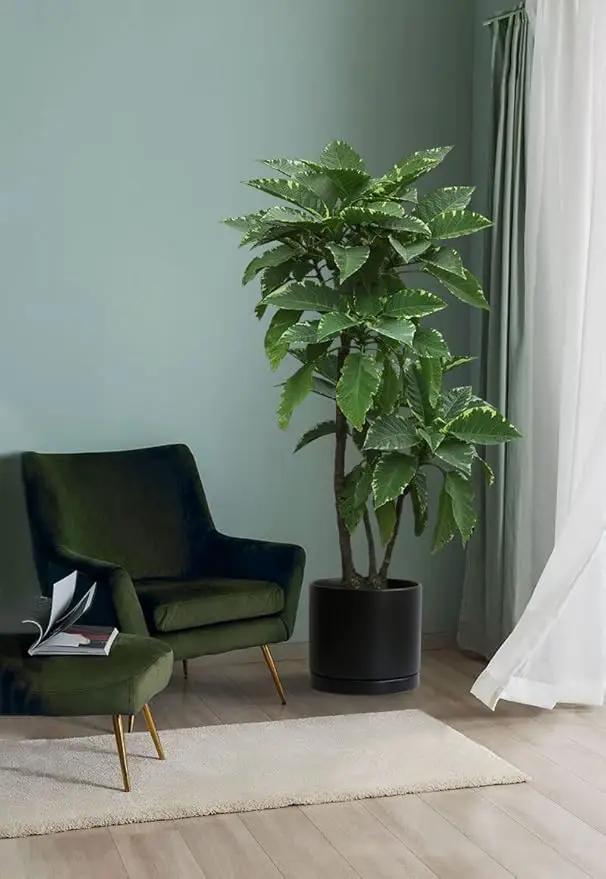 Aveyas 10 inch Ceramic Plant Pot with Drainage Hole and Saucer - Suitable for Indoor and Outdoor Use, Modern Planters for House Garden Flower Tree Snake Monstera Plants (10", Matte Black) by GreenHaven Gardens