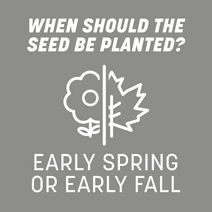 Pennington Contractors Grass Seed Mix Central 7 lb by GreenHaven Gardens