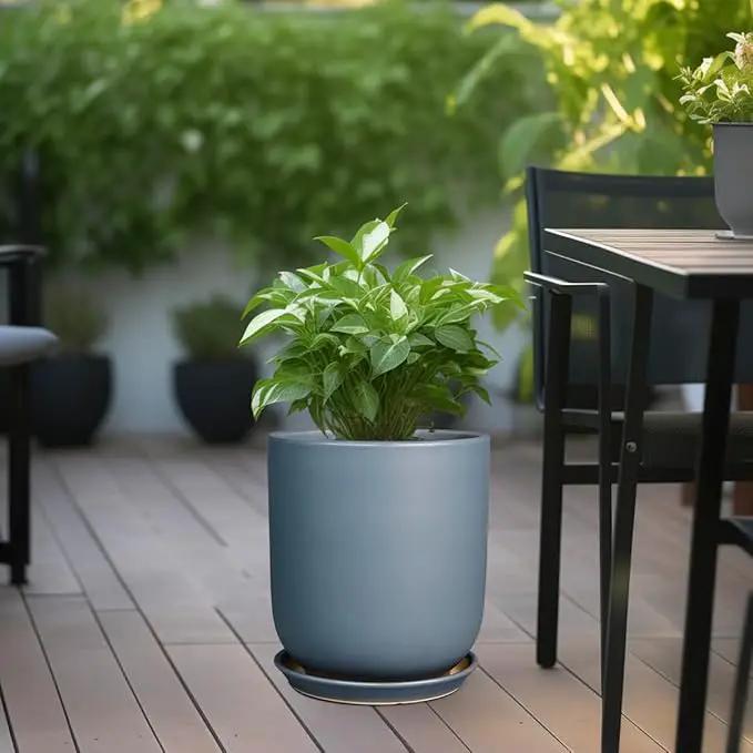10 Inch Plant Pot - Ceramic Pot for Indoor Plants Outdoor Planter Large Flower Pot with Drainage Hole and Saucer Cylinder Gray by GreenHaven Gardens