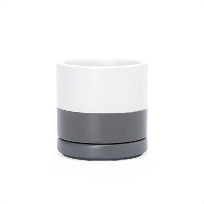 D'vine Dev 3.5 Inch Ceramic Planter Pot with Drainage Hole and Saucer, Indoor Cylinder Round Planter Pot, White/Speckled Grey, 94-O-A-6 by GreenHaven Gardens