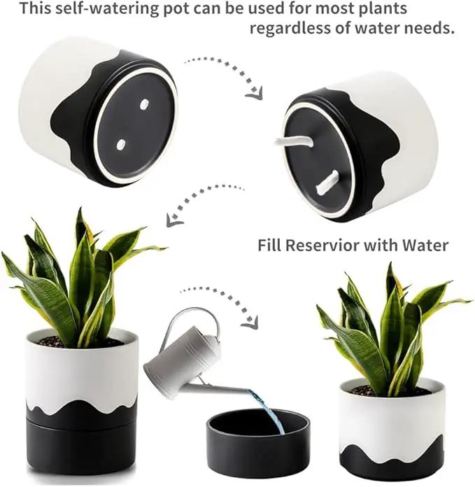 Nihow Self Watering Plant Pot: 6 Inch Ceramic Planter with Drainage Hole & Water Storage Plus for Indoor & Outdoor Plants - Cylinder Round Flower Pot for Succulent/Herbs/Violets - White & Wave Black by GreenHaven Gardens