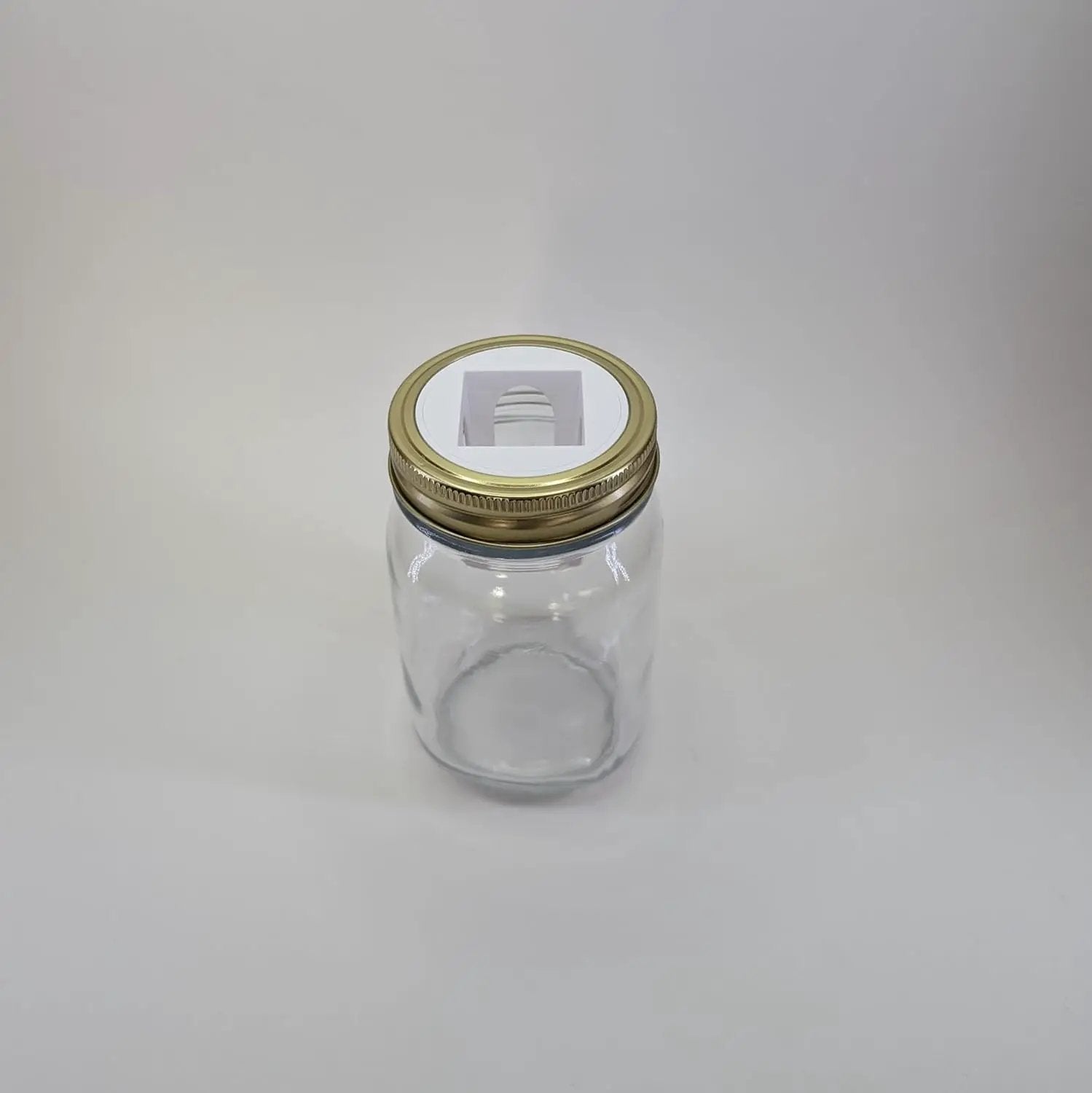 Grow Cubes Mason Jar Adapters for Kratky and DWC Gardening/Compatible with Gardyn (10 Mason Jar adapters) by GreenHaven Gardens