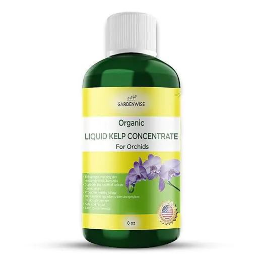 Organic Premium Kelp Seaweed Concentrate: Fertilizer for Orchids - Orchid Food (8 OZ) by GreenHaven Gardens