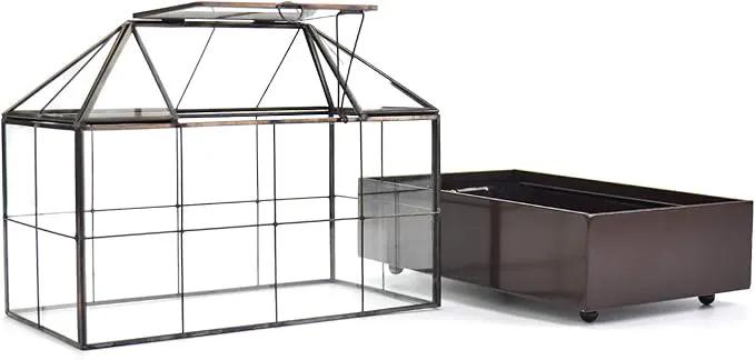 Large Tall Plant Terrarium Glass Greenhouse with Lid and Tray, Indoor Tabletop Orchid Succulent Cacti Kit 9.5'X9.8'X5.6' by GreenHaven Gardens