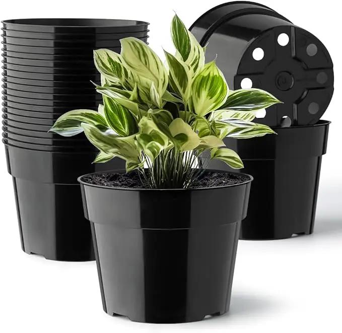 20 Pack Plant Pots, 6 Inch Plastic Plant Planter with Saucers and Mesh Mats, Durable Flower Pots with Drainage Holes Perfect for Indoor Outdoor, Black by GreenHaven Gardens