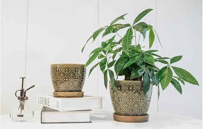 Docrin Ceramic Plant Pots Indoor, 6.6 + 5.5 Inch Planters with Drainage Holes and Saucer for Home/Office - Set of 2 /Dark Green by GreenHaven Gardens