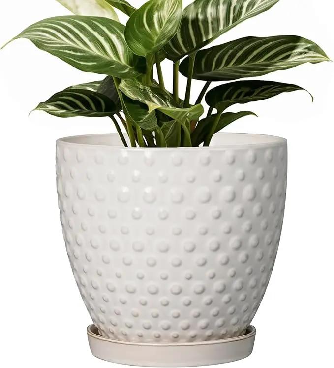 G EPGardening 6 Inch Ceramic Plant Pot with Drainage Hole and Saucer Round Planter Decorative Flower Plant Pot for Indoor Plants Outdoor White by GreenHaven Gardens