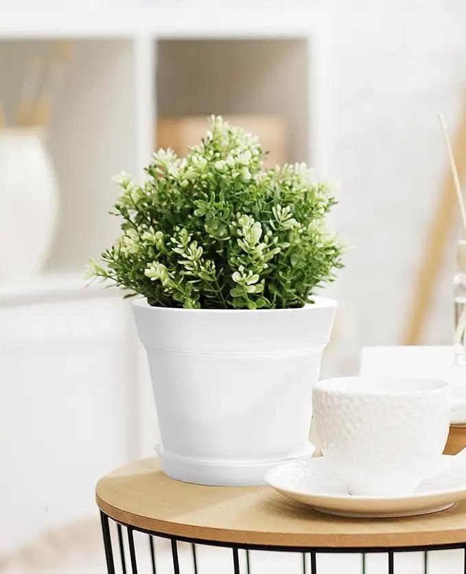 Homenote Pots for Plants, 15 Pack 6 Inch Plastic Planters with Multiple Drainage Holes and Trays,Plant Pots for All Home Garden Flowers Succulents (White) by GreenHaven Gardens