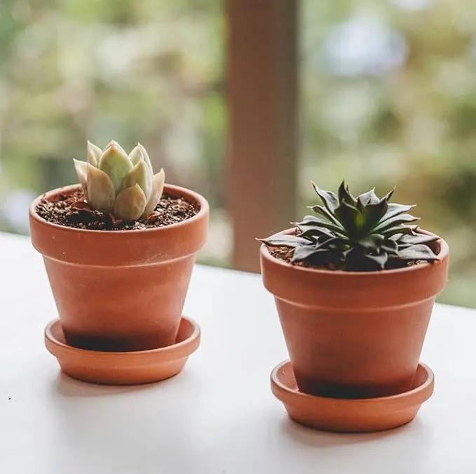 3 inch Terracotta Clay Pots Pack of 18, Small Plant Pots with Drainage Holes and Saucers, Mini Nursery Plant Pots for Succulents, Cactus, Indoor,Outdoor,Halloween Decor by GreenHaven Gardens