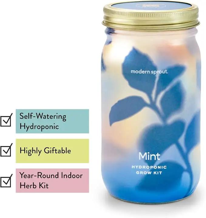 Modern Sprout Mason Garden Jar - Self-Watering Hydroponics Growing System Kit with Organic Herb Seeds - Jar Planter for Indoor Herb Garden - Seed Starter Kit - Home Decor & Gifting - Basil+Mint by GreenHaven Gardens