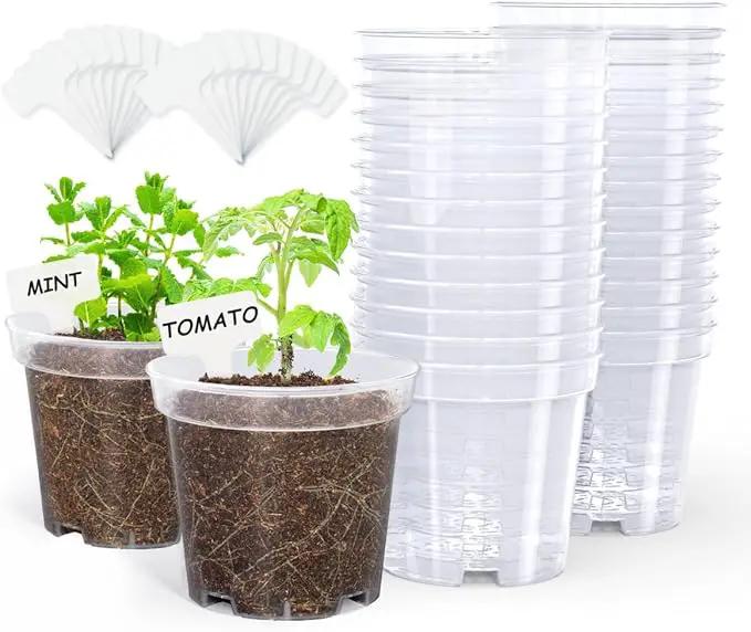 homenote Clear Nursery Pots for Plants,4 Inch Plant Pot for Planting Plastic Seedling with Drainage Holes Seed Starter Flower High Transparency with 20 Labels (30 Pack) by GreenHaven Gardens