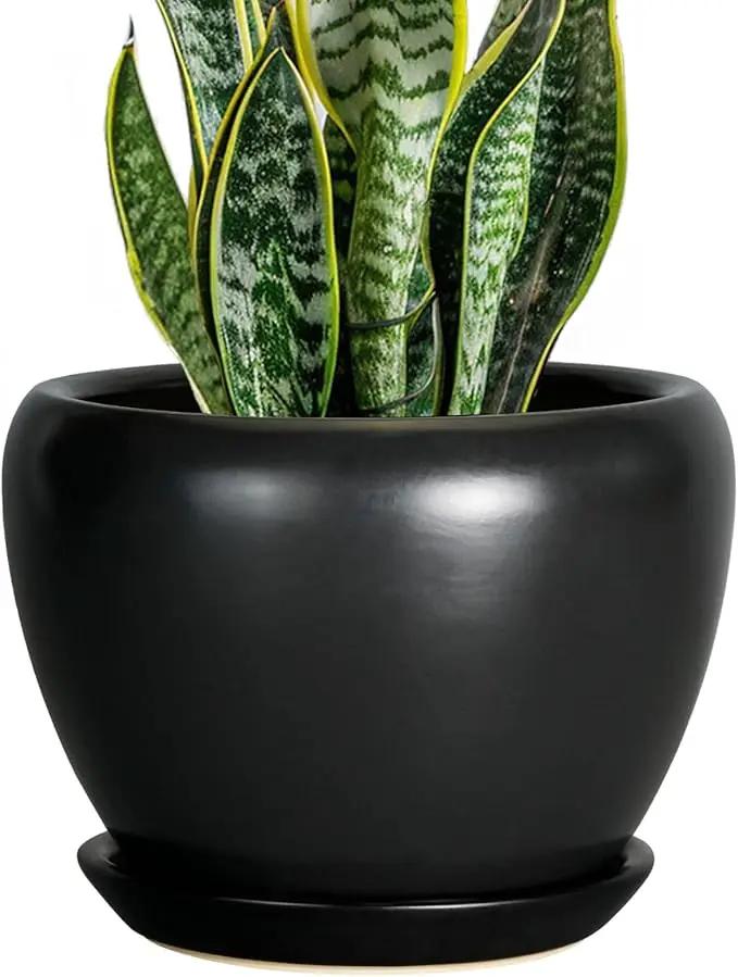 Ceramic Planter Pot - 8 Inch Plant Pot with Drainage Hole and Saucer Round Planter for Indoor Plants Modern Outdoor Flower Pot for House Balcony Black by GreenHaven Gardens