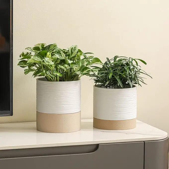 Nihow Ceramic Plant Pot: 6 Inch Planter with Drainage Hole & Saucer for Indoor & Outdoor Plants - Cylinder Round Flower Pot for Succulent/Herbs/Violets - White & Brown by GreenHaven Gardens