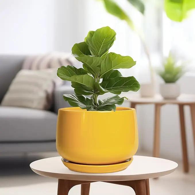 G EPGardening Ceramic Flower Pot - 9 Inch Plant Pots for Indoor Outdoor Plants, Round Ceramic Planter with Drainage and Plant Saucer, Modern Planter, Home Office Decor, Garden Gifts, Yellow by GreenHaven Gardens