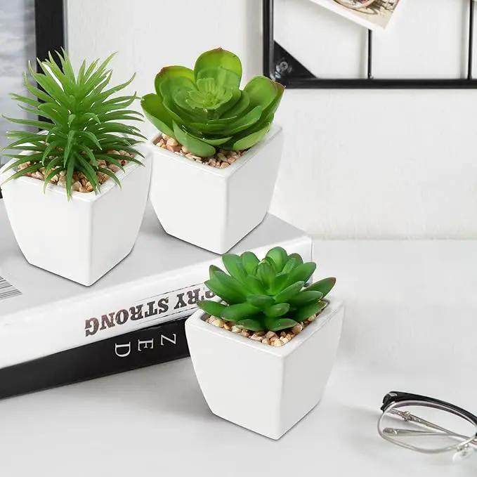 Hollyone Succulents Plants Artificial 3Pcs Small Fake Succulents in Pots Faux Plastic Potted Plants with White Ceramic Pot for Home Decor Classroom Office Bathroom Shelf Indoor & Outdoor Decorations by GreenHaven Gardens