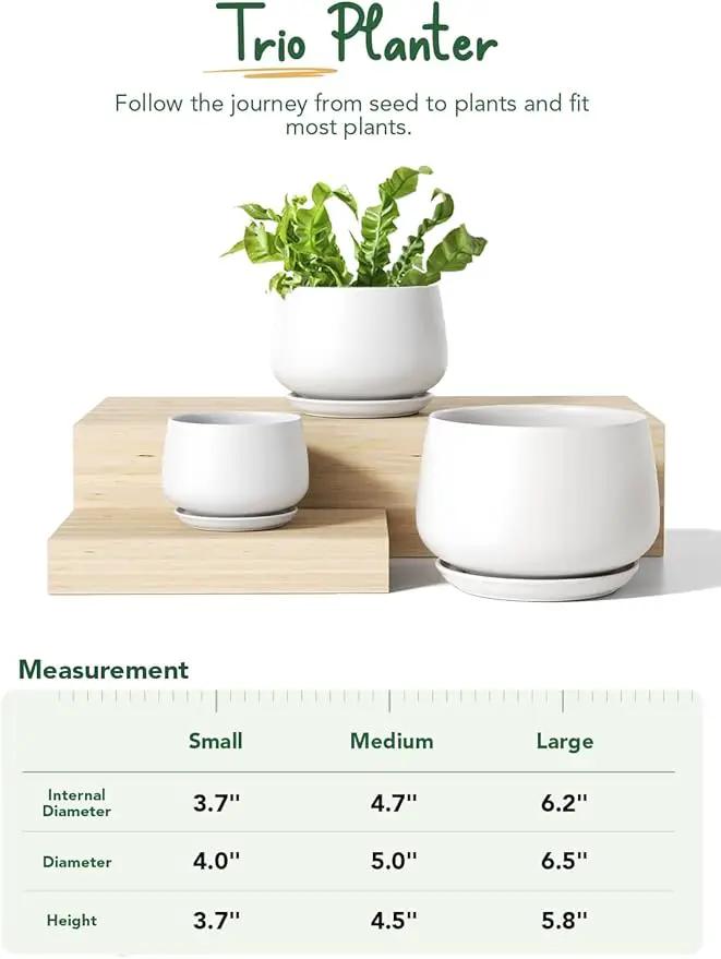 LE TAUCI Ceramic Plant Pots, 4.1+5.1+6.5 inch, Set of 3, Planters with Drainage Hole and Saucer, Indoor Flower Pot with Hole Mesh Pad, Gifts for Mom, White by GreenHaven Gardens