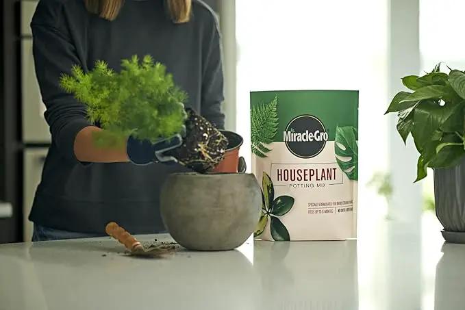 Miracle-Gro Houseplant Potting Mix - Fertilized Soil, Designed to be Less Prone to Gnats, 4 qt. (2-Pack) by GreenHaven Gardens