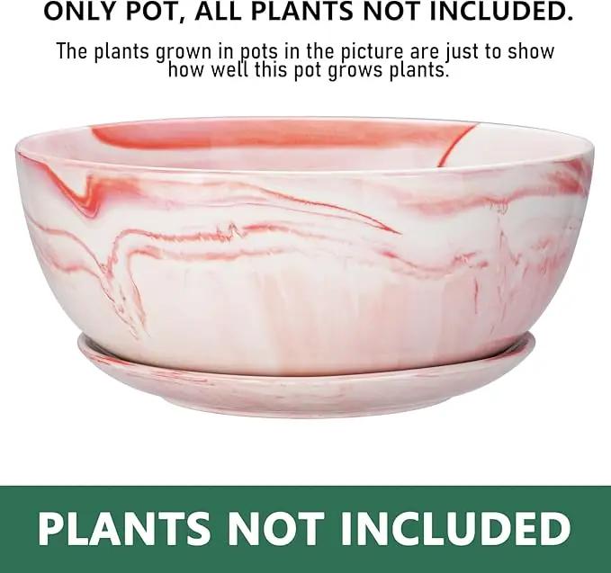 G EPGardening Large Ceramic Succulent Planter Pot with Drainage Hole and Saucer Large Marble Flower Pot for Plants Round Bonsai Planter Pot Indoor Outdoor Pink by GreenHaven Gardens