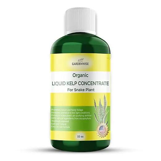 Organic Seaweed Kelp Liquid Fertilizer for Snake Plant (Sansevieria, Dracaena Trifasciata) - Food and Care for Live Plants (32 OZ) by GreenHaven Gardens